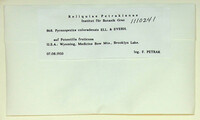 Image Associated With the Occurence
